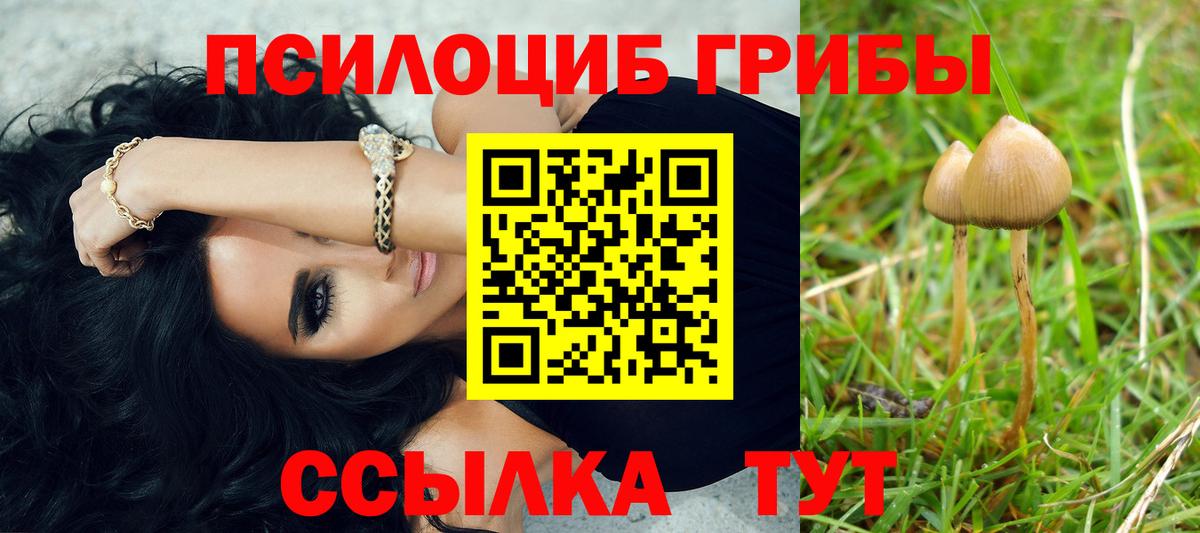 Котовск  Галлюциногенные грибы Magic Shrooms  Вход с VPN  Галлюциногенные грибы Magic Shrooms 