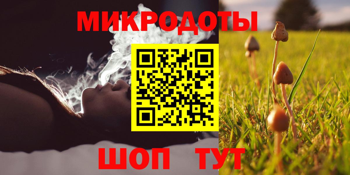 Псилоцибиновые грибы Cubensis Котовск